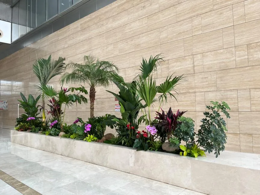 想知道慈溪花木租摆哪家靠谱？看这篇就够了！